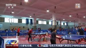 必一运动 乒乓球台是与水平面平行